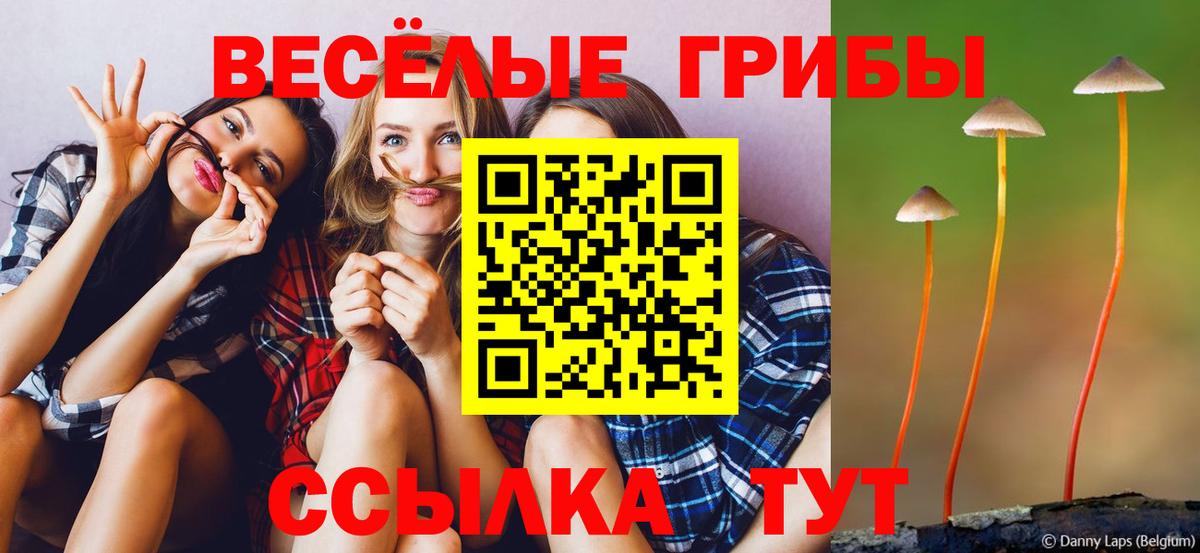 Галлюциногенные грибы MAGIC MUSHROOMS Киров