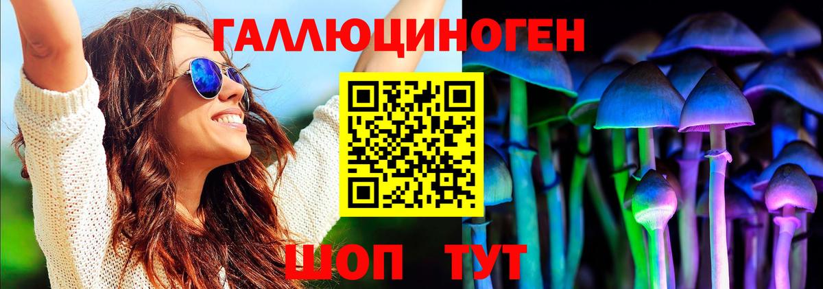 Киров  наркошоп  Псилоцибиновые грибы MAGIC MUSHROOMS  Вход с VPN  Псилоцибиновые грибы Psilocybine cubensis 